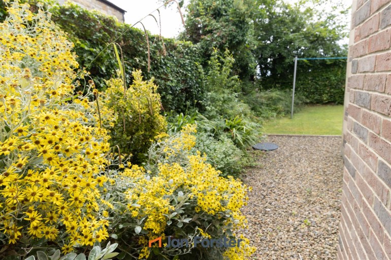 Side Garden